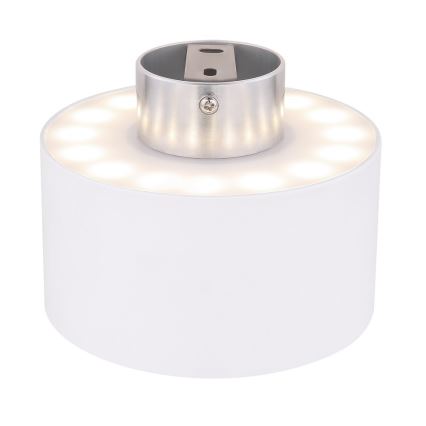 Globo 12016W - LED Stropné svietidlo JENNY LED/16W/230V