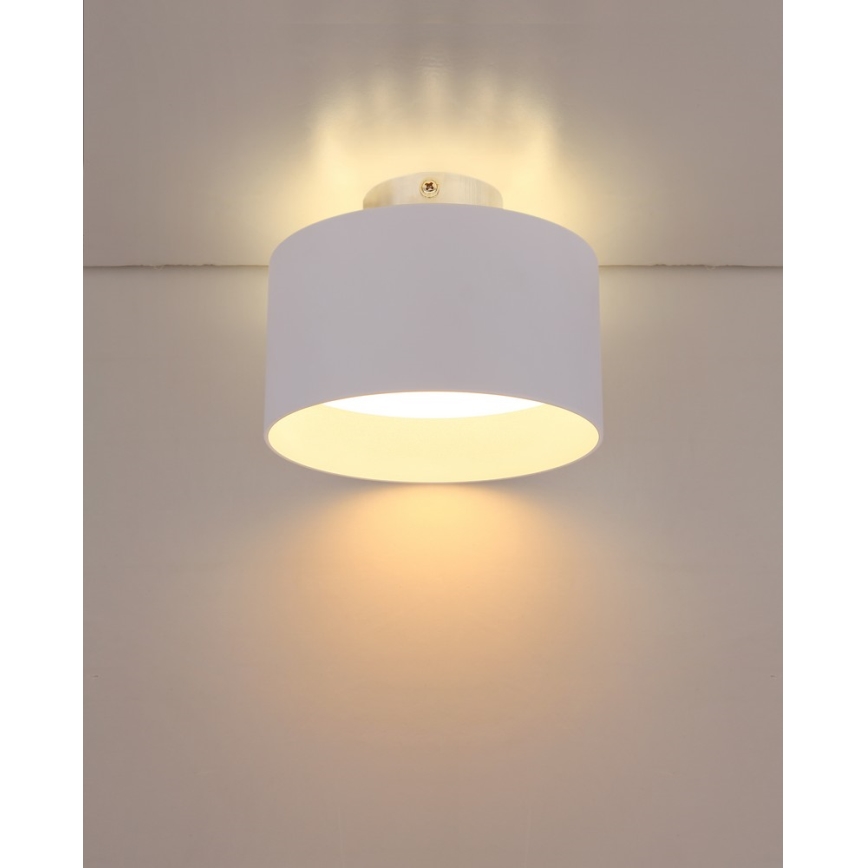 Globo 12016W - LED Stropné svietidlo JENNY LED/16W/230V