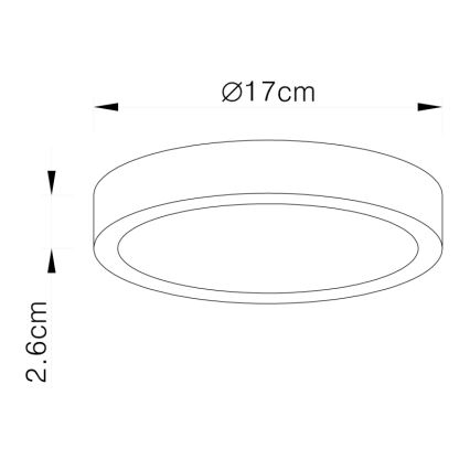 Globo - LED Stropné svietidlo LED/22W/230V