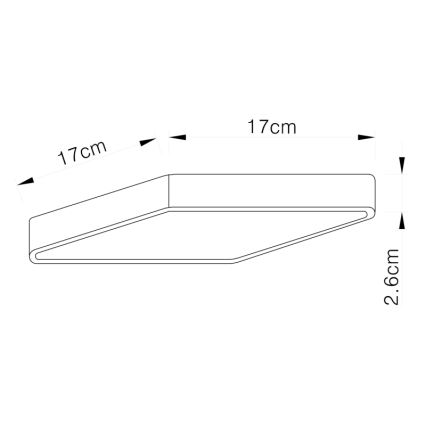 Globo - LED Stropné svietidlo LED/22W/230V