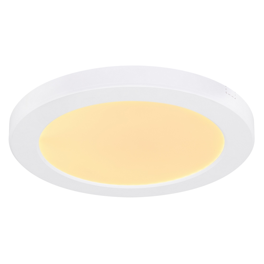 Globo - LED Stropné svietidlo LED/18W/230V 3000/4000/6500K biela