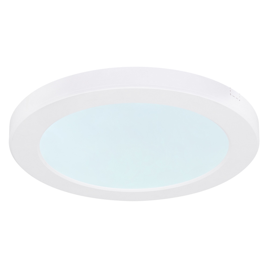 Globo - LED Stropné svietidlo LED/18W/230V 3000/4000/6500K biela