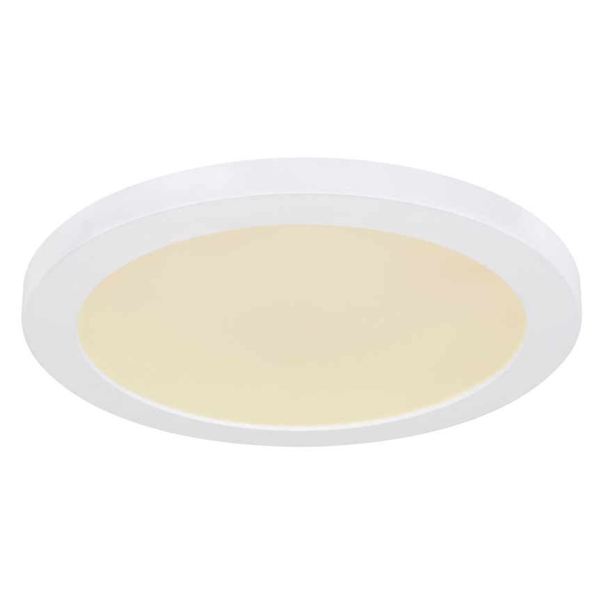Globo - LED Stropné svietidlo LED/24W/230V 3000/4000/6500K biela