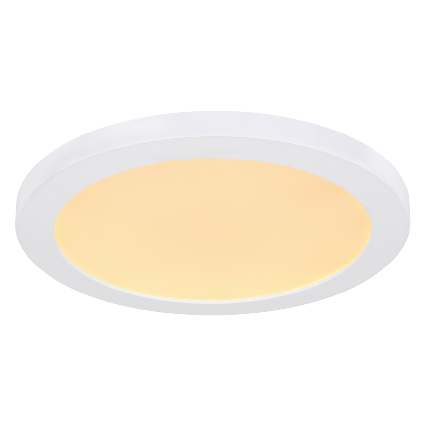 Globo - LED Stropné svietidlo LED/24W/230V 3000/4000/6500K biela