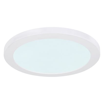 Globo - LED Stropné svietidlo LED/24W/230V 3000/4000/6500K biela