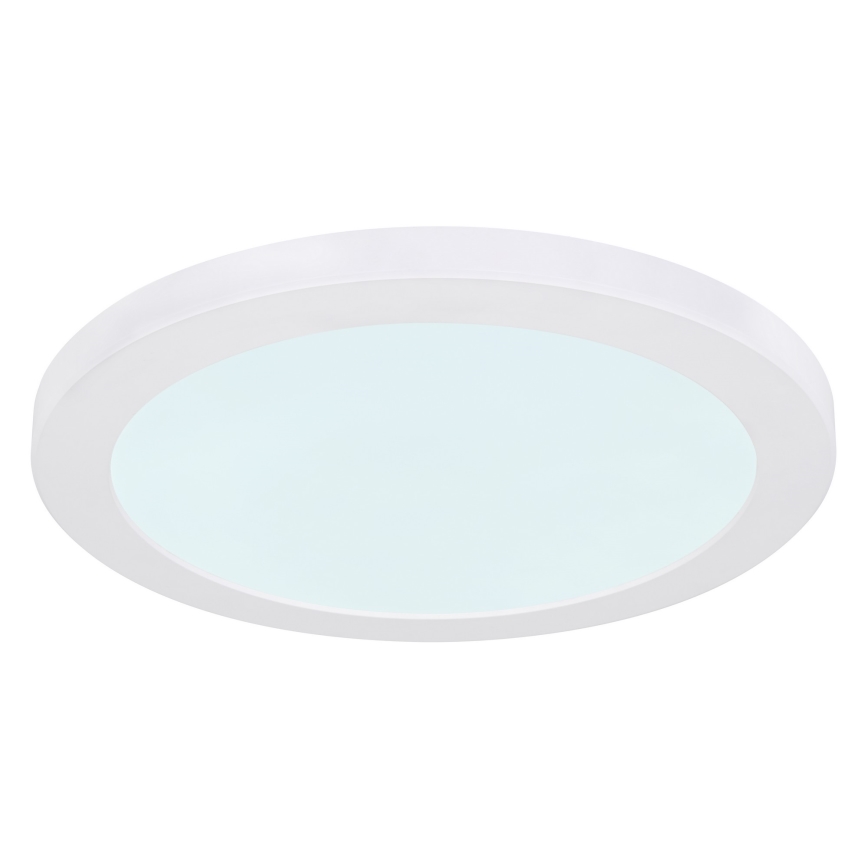 Globo - LED Stropné svietidlo LED/24W/230V 3000/4000/6500K biela