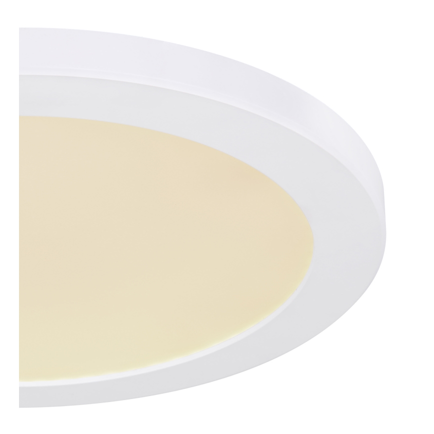 Globo - LED Stropné svietidlo LED/24W/230V 3000/4000/6500K biela