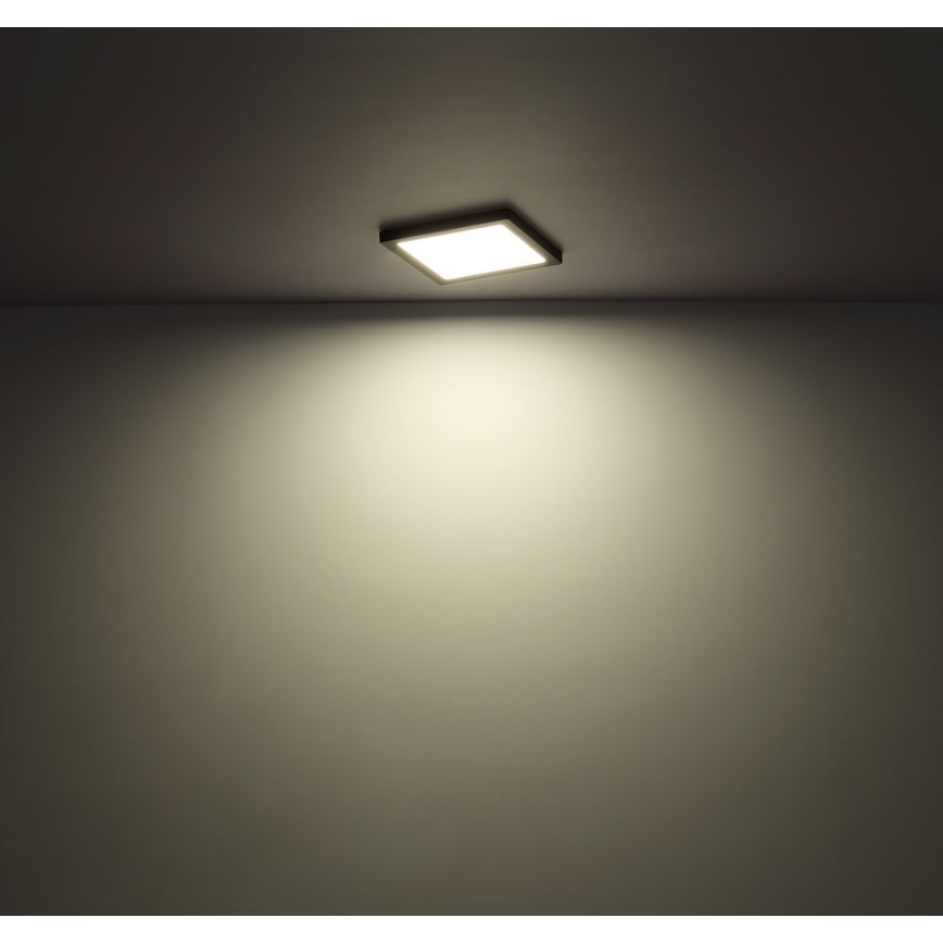Globo - LED Stropné svietidlo LED/12W/230V 3000/4000/6500K čierna