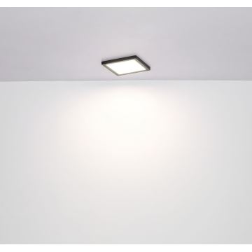 Globo - LED Stropné svietidlo LED/12W/230V 3000/4000/6500K čierna