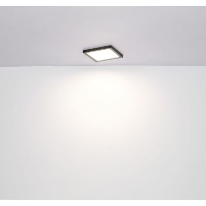 Globo - LED Stropné svietidlo LED/12W/230V 3000/4000/6500K čierna