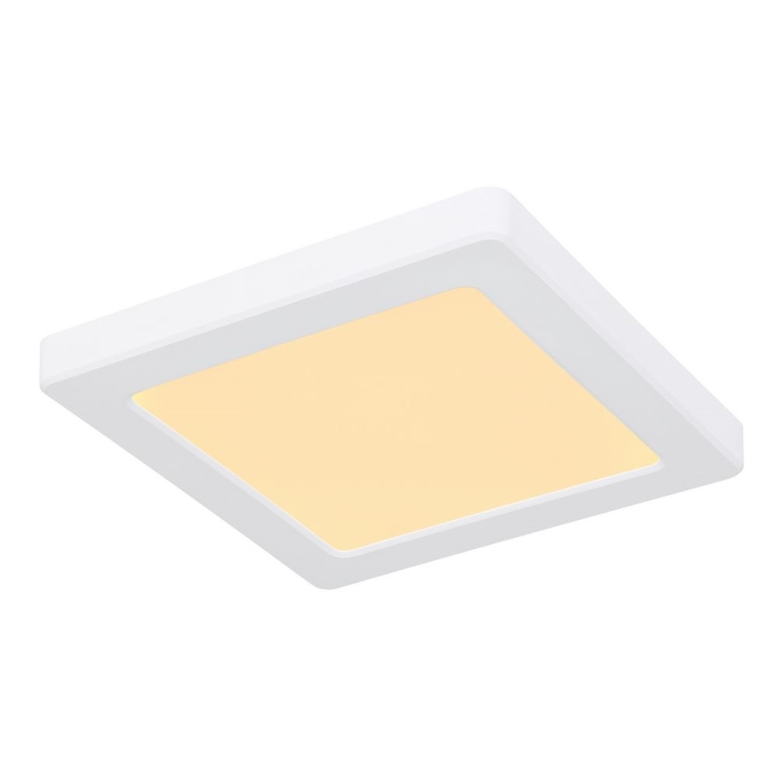 Globo - LED Stropné svietidlo LED/12W/230V 3000/4000/6500K biela