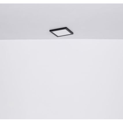Globo - LED Stropné svietidlo LED/18W/230V 3000/4000/6500K čierna