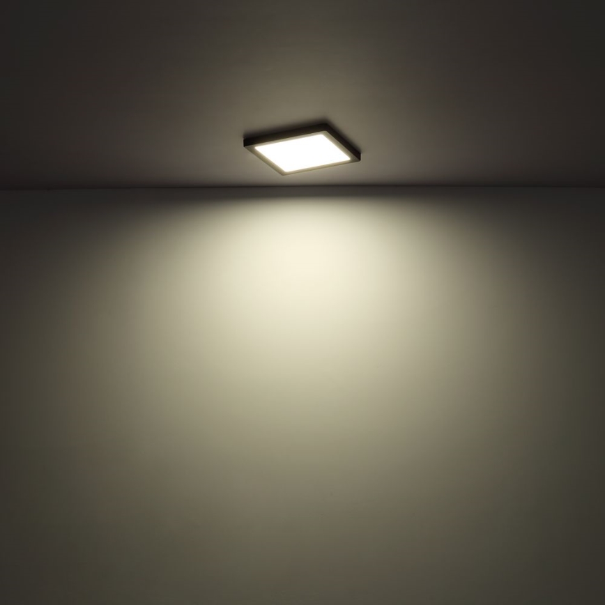 Globo - LED Stropné svietidlo LED/24W/230V 3000/4000/6500K biela