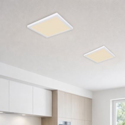 Globo - LED Stropné svietidlo LED/24W/230V 3000/4000/6500K biela