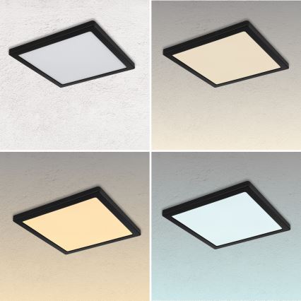 Globo - LED Stropné svietidlo LED/24W/230V 3000/4000/6500K biela