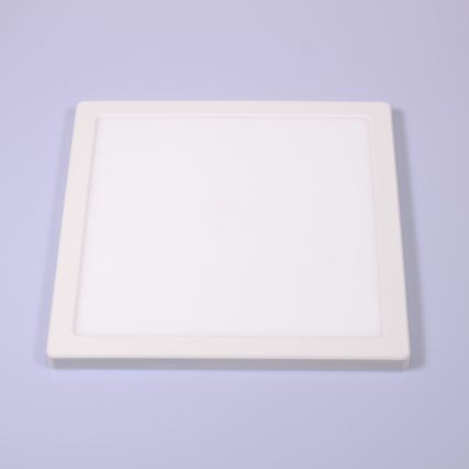 Globo - LED Stropné svietidlo LED/24W/230V 3000/4000/6500K biela