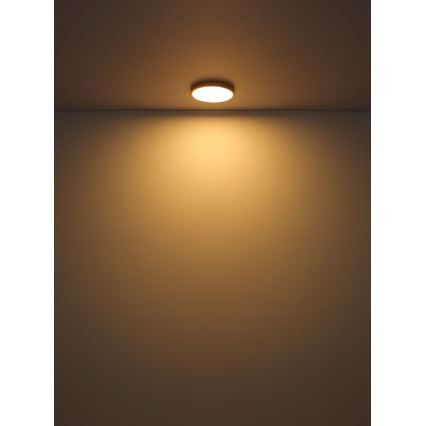 Globo - LED Stropné svietidlo LED/22W/230V pr. 35 cm