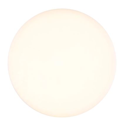 Globo - LED Stropné svietidlo LED/8W/230V 4000K pr. 12 cm biela