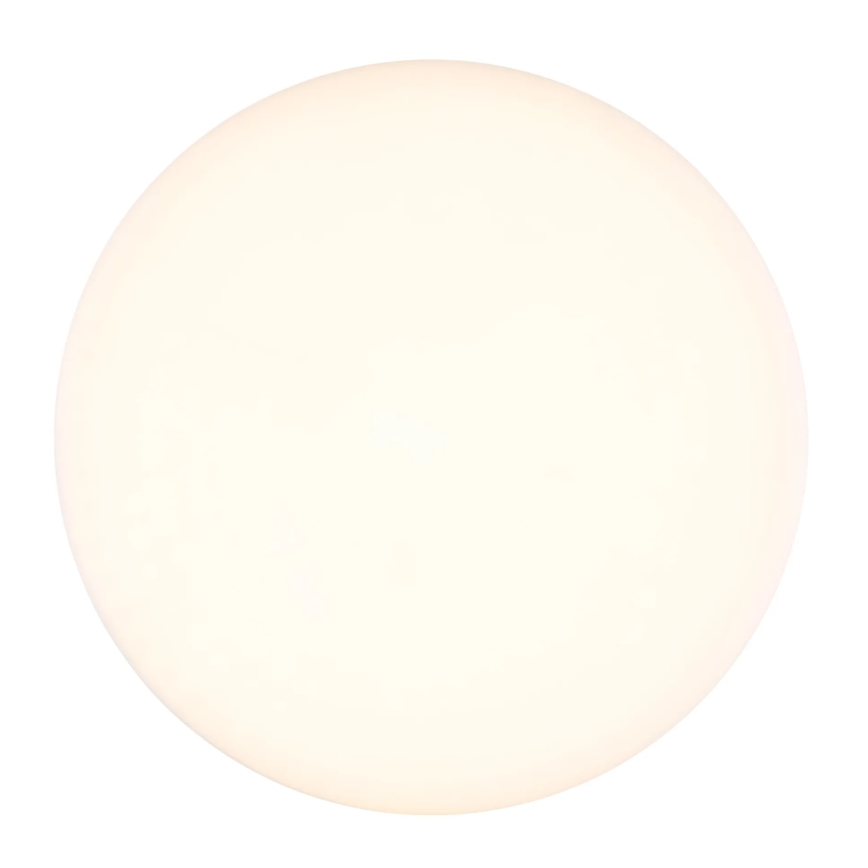 Globo - LED Stropné svietidlo LED/8W/230V 4000K pr. 12 cm biela