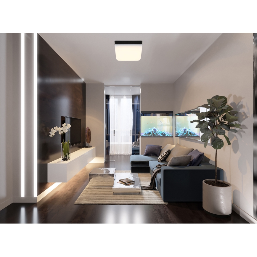 Globo - LED Stropné svietidlo LED/8W/230V 4000K 12x12 cm čierna