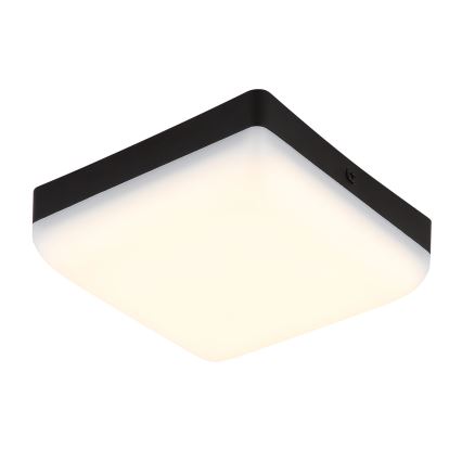 Globo - LED Stropné svietidlo LED/8W/230V 4000K 12x12 cm čierna