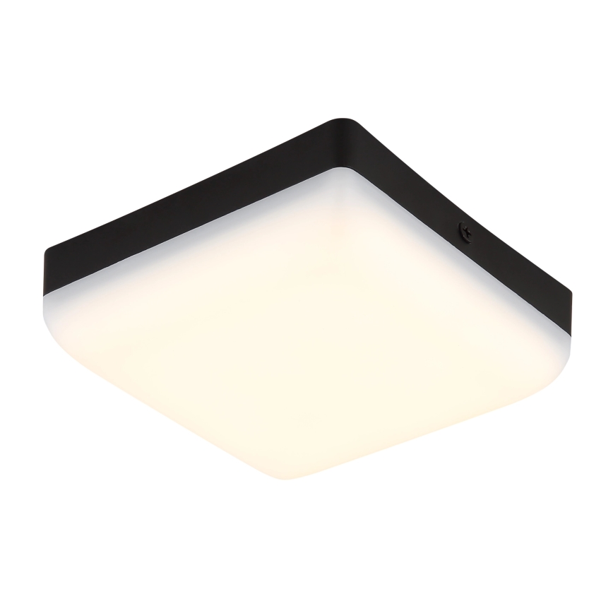 Globo - LED Stropné svietidlo LED/8W/230V 4000K 12x12 cm čierna