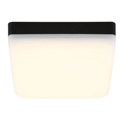 Globo - LED Stropné svietidlo LED/8W/230V 4000K 12x12 cm čierna