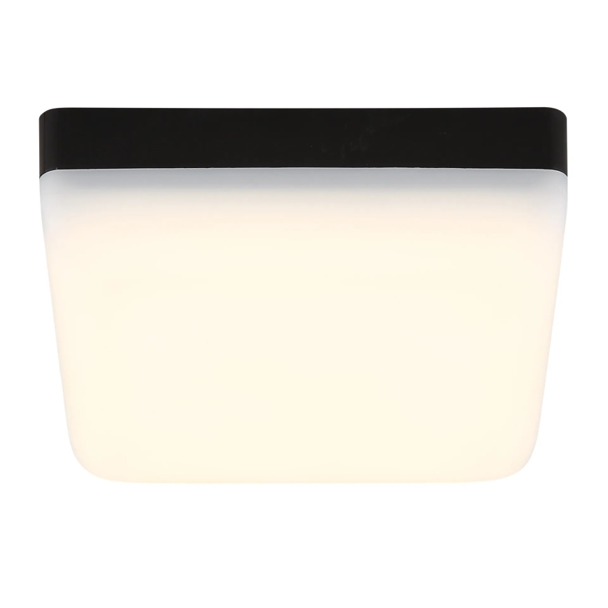 Globo - LED Stropné svietidlo LED/8W/230V 4000K 12x12 cm čierna