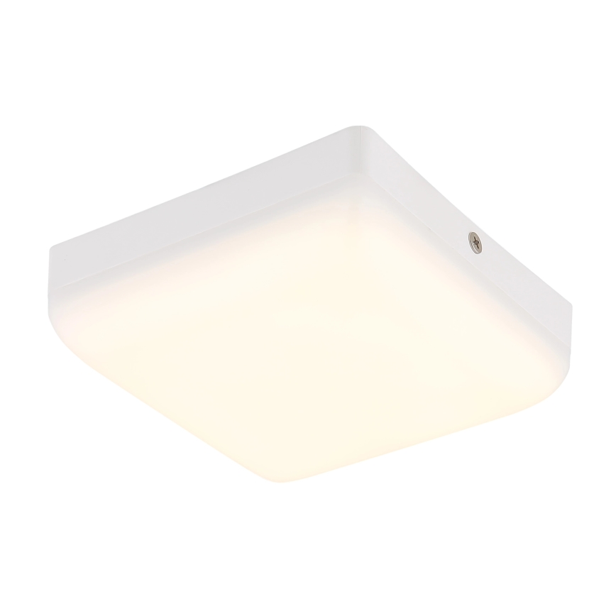 Globo - LED Stropné svietidlo LED/8W/230V 4000K 12x12 cm biela
