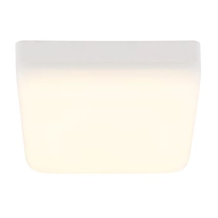 Globo - LED Stropné svietidlo LED/8W/230V 4000K 12x12 cm biela