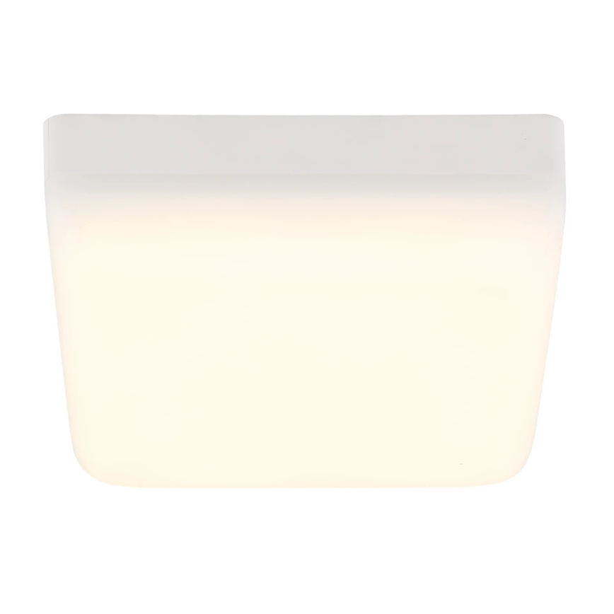 Globo - LED Stropné svietidlo LED/8W/230V 4000K 12x12 cm biela