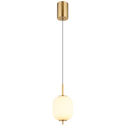 Globo - LED Luster na lanku LED/7W/230V