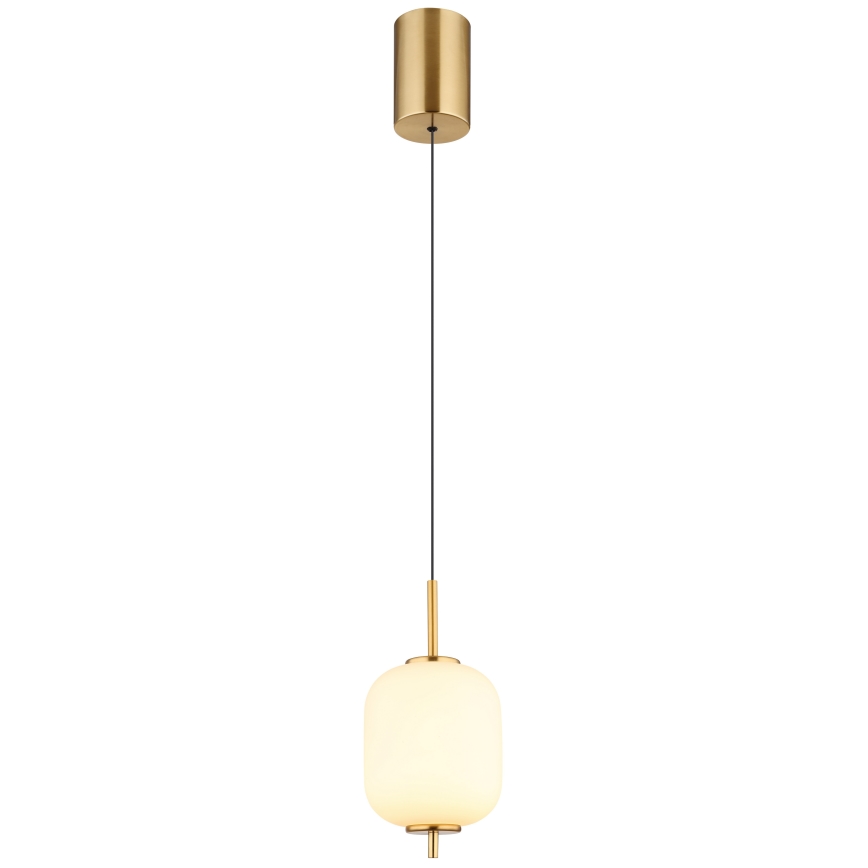 Globo - LED Luster na lanku LED/7W/230V
