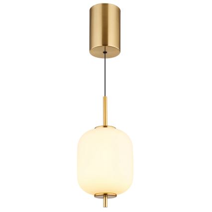 Globo - LED Luster na lanku LED/7W/230V