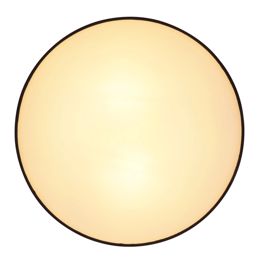 Globo 15582D - Stropné svietidlo INGEBORG 2xE27/15W/230V