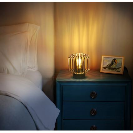 Globo - Stolová lampa 1xE27/40W/230V