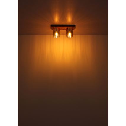 Globo - Stropné svietidlo 2xE27/40W/230V 16x41 cm