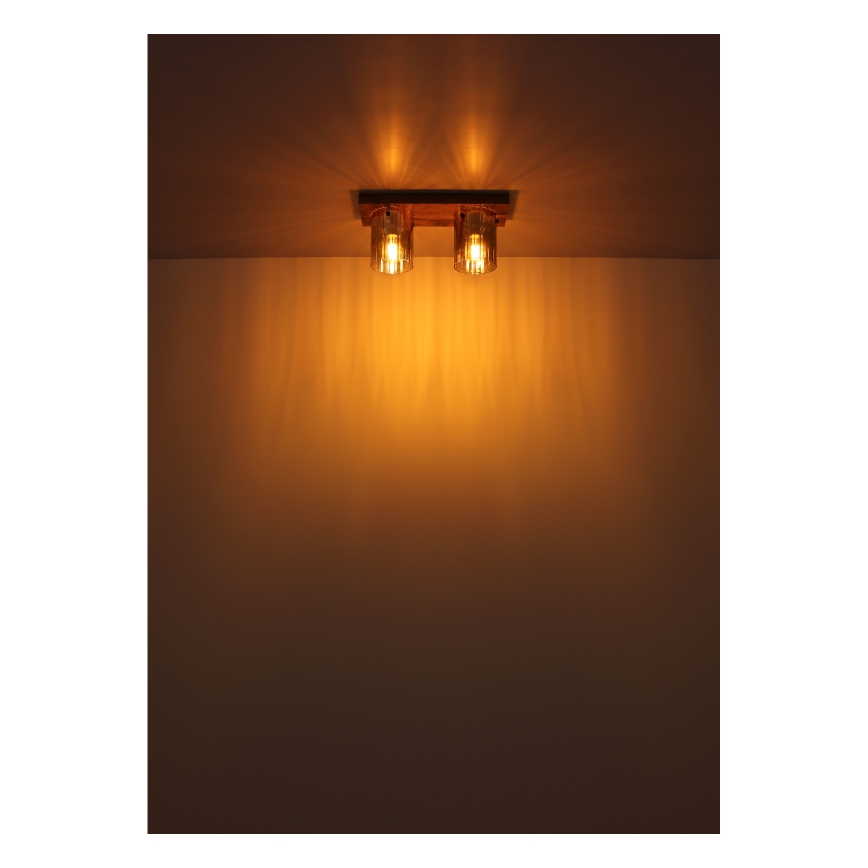 Globo - Stropné svietidlo 2xE27/40W/230V