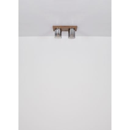 Globo - Stropné svietidlo 2xE27/40W/230V