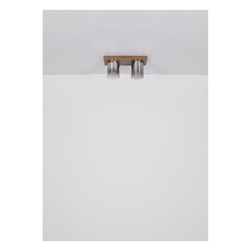 Globo - Stropné svietidlo 2xE27/40W/230V