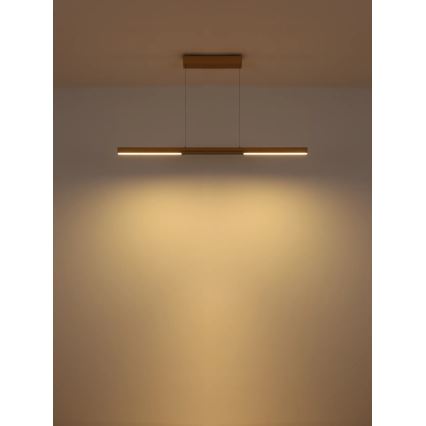 Globo - LED luster na lanku LED/24W/230V 3000K