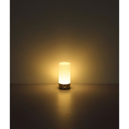 Globo - LED RGBW Stmievateľná dotyková vonkajšia stolná lampa LED/1,8W/5V 1500 mAh IP44 matný chróm