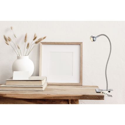 Stolná lampa s flexibilným ramenom a svorkou je pripevnená k drevenému stolu. Na stole sú knihy a váza so suchými kvetmi. Vedľa nich stojí obraz s prázdnym rámom.