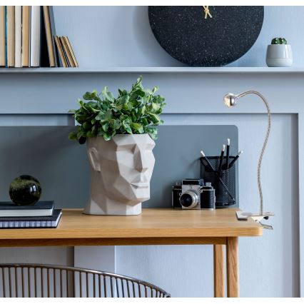 Kvetináč v tvare hlavy - stojí na pracovnom stole. Svetlo pripevnené na stôl svorkou - osvetľuje pracovný priestor. Na stole je tiež fotoaparát a knihy.