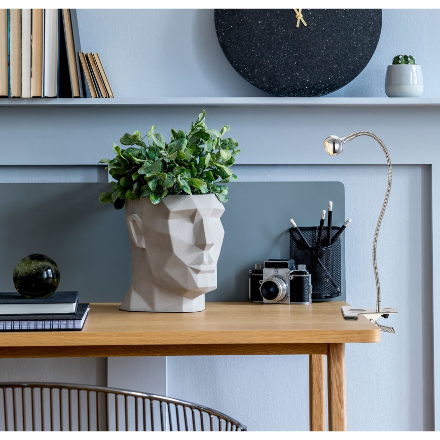 Kvetináč v tvare hlavy - stojí na pracovnom stole. Svetlo pripevnené na stôl svorkou - osvetľuje pracovný priestor. Na stole je tiež fotoaparát a knihy.