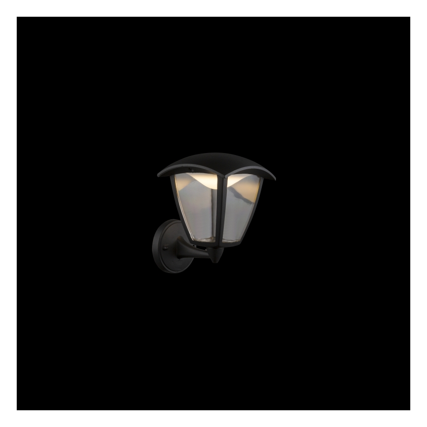 Globo - LED Vonkajšie nástenné svietidlo LED/7W/230V IP54