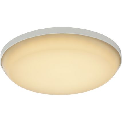 GLOBO 32105-12 - LED Vonkajšie stropné svietidlo CAIO 1xLED/18W/230V IP54