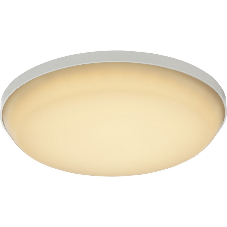 GLOBO 32105-12 - LED Vonkajšie stropné svietidlo CAIO 1xLED/18W/230V IP54