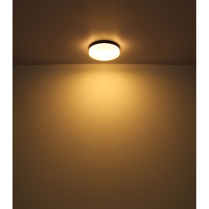 Globo - Kúpeľňové svietidlo 2xE27/60W/230V pr. 24 cm IP44