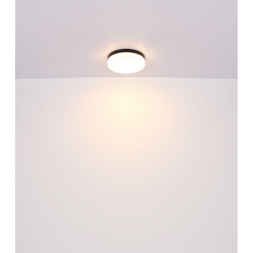 Globo - Kúpeľňové svietidlo 2xE27/60W/230V pr. 24 cm IP44